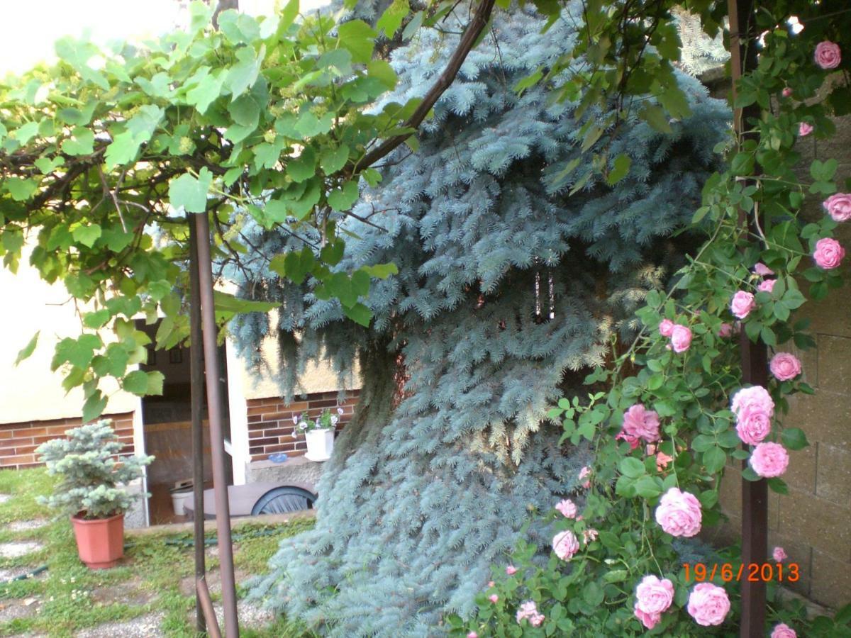 Kalik Penzion