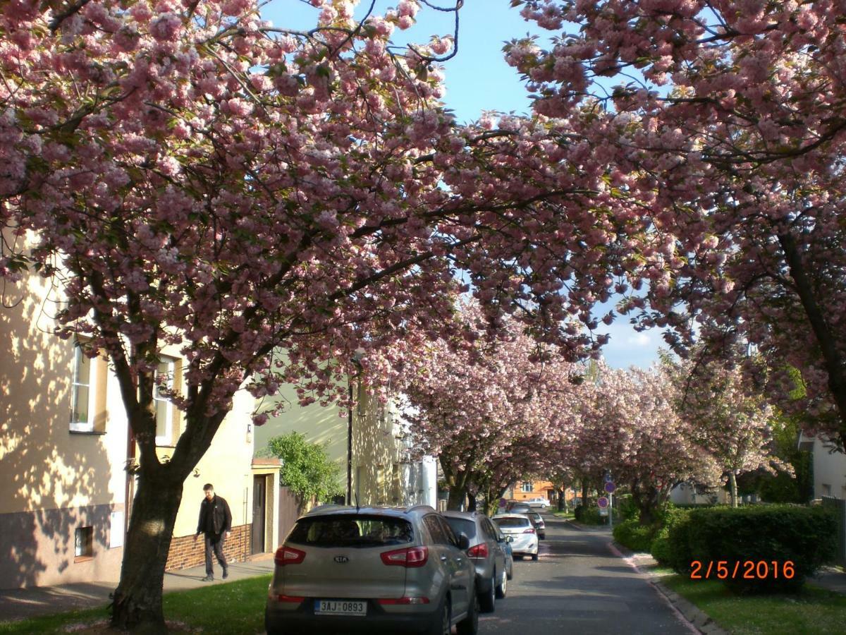 Kalik Penzion 2*